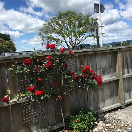 Strand Motel Tauranga Bagian luar foto